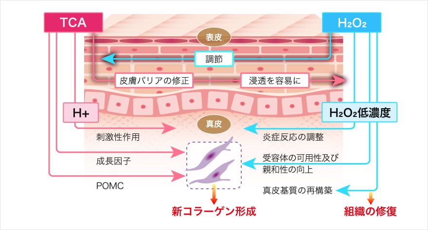 マッサージピール（コラーゲンピール）の効果