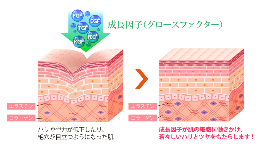 グロースファクターの仕組み