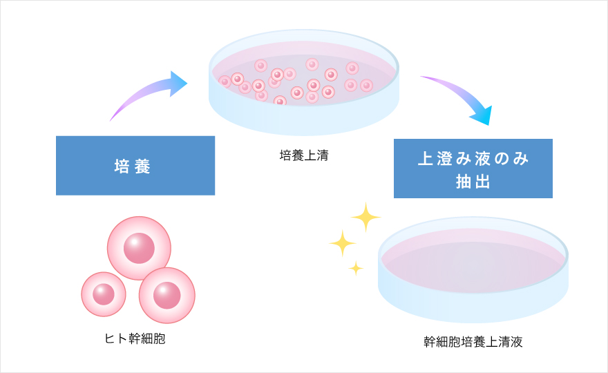 幹細胞エクソソーム点滴の抽出方法