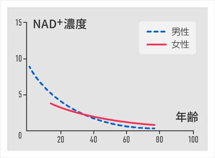 加齢に伴って減少するNAD+のイメージ図