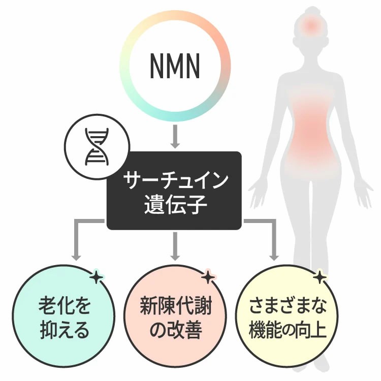 NMN点滴の効果のイメージ