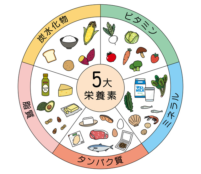 5大栄養素のイメージ